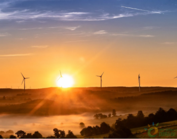 独家翻译 | <em>巴西能源公司</em>Copel在能源拍卖中获121.6MW太阳能及风电项目
