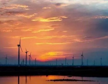 300MW！中国<em>华电集团公</em>司首个海上风电项目开工建设