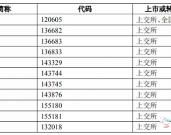 <em>长江大保护</em>任务下，三峡集团的大纵横与大压力