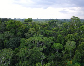 EverSince携手观澜湖集团，助力拯救<em>亚马逊</em>雨林