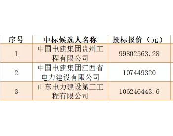 中标 | 不含组件1.996元/W 贵州乌沙镇50MW林光电站<em>项目公示</em>EPC中标候选人
