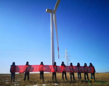 150MW！内<em>蒙古国</em>龙武川风电项目首台风机顺利并网