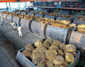 <em>奥曼石油</em>：棕榈油进入减产周期 多因素提振提供价格支撑