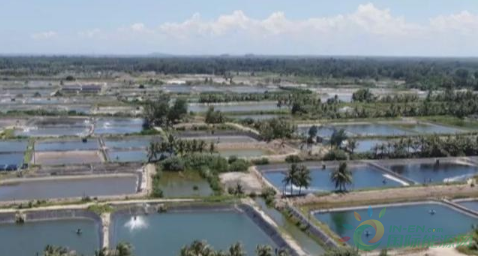 微信截图_20191216102236