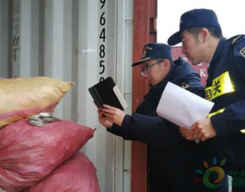 山东烟台海关截获一批“鲍鱼壳”入境固体废物 重约13.5吨
