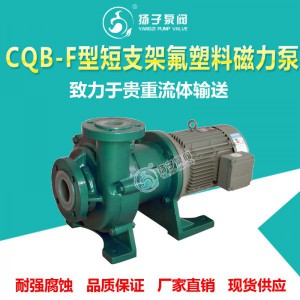 CQB型氟塑料磁力泵 衬氟磁力泵 化工磁力泵 耐酸碱磁力泵