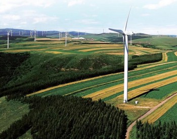风电优先保障性收购！贵州省发布可再生能源<em>电力消纳</em>实施方案