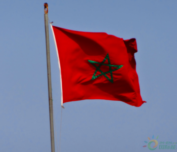 独家翻译 | 2月28日前通过资格预审！摩洛哥启动400MW<em>太阳能项目招标</em>
