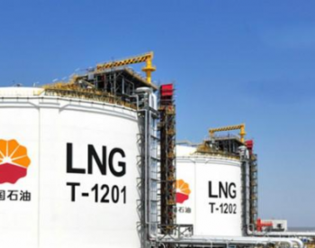 2019年<em>中国LNG进口量</em>6025万吨 同比增长12.2%