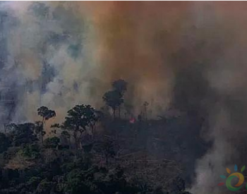 “地球之肺”逼近临界点！<em>亚马逊</em>“碳汇”低于排放，提前了几十年
