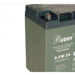 buddy宝迪蓄电池6-FM-24,12V24AH价格