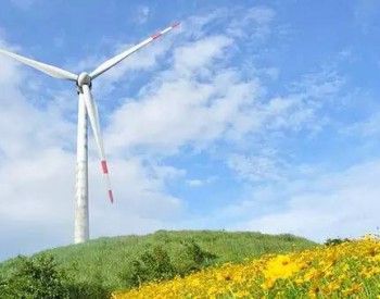 大唐首批6個風電項目正式復工復產