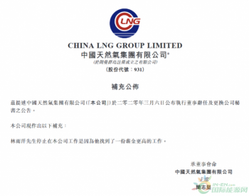中国天然气：林雨洋辞任公司董秘 因其找到酬金更高工作