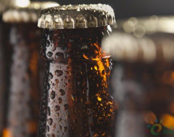 独家翻译 | Enel墨西哥分公司与喜力啤酒签署电力采购协议