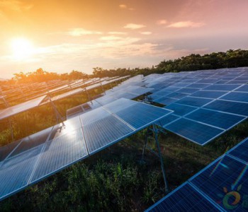 独家翻译 | 146MW！阿特斯与亚马逊在澳大利亚签署太阳能<em>电力采购协议</em>