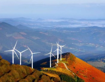 稳增长，提质量，保障风电平价过渡期健康发展——国家能源局《关于2020年<em>风电项目建设</em>有关事项的通知》解读