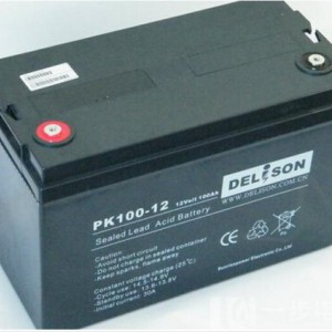 DELISON免维护蓄电池，德利森品牌蓄电池12v24ah