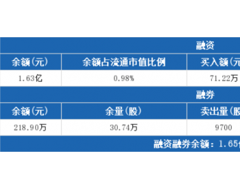 上海电力：连续3日<em>融资净偿</em>还累计207.93万元（03-18）
