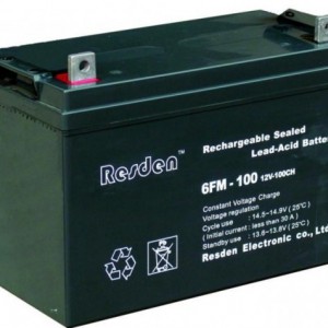 RESDEN免维护蓄电池，雷斯顿品牌蓄电池12v24AH