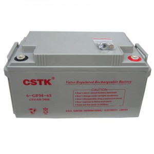 CSTK免维护蓄电池，CSTK品牌蓄电池12v24AH