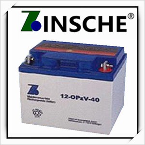 德国森泉ZINSCHE蓄电池12-opzv-120厂家