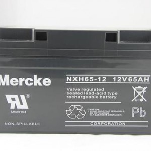MERCKE免维护蓄电池，默克品牌蓄电池12v24AH