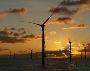 中国在2019年引领全球海上<em>风电建设</em>