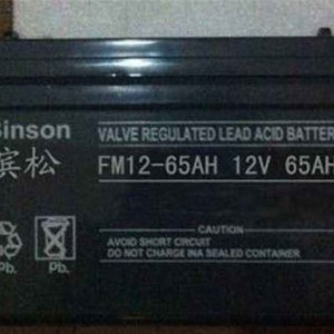 BINSON免维护蓄电池，滨松品牌蓄电池12v24AH