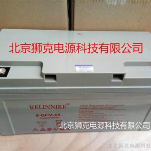德国尼克蓄电池NCP120-12官方网站现货