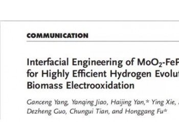付宏刚<em>教授</em>AM:MoO2-FeP异质结的界面设计用于高效制氢及生物质电氧化