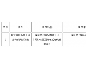 山东烟台：光伏发电项目平价上网确认公告 （2020年3月份第4批）