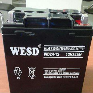 WESD免维护蓄电池，无敌品牌蓄电池12v24AH