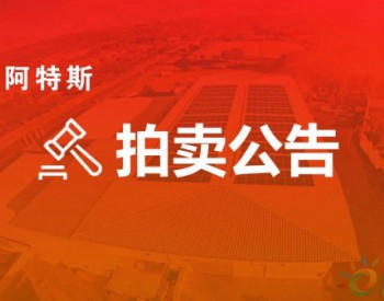 招标 | 阿特斯一子公司将于4月13日对闲置设备进行公开拍卖