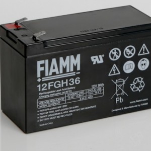 非凡蓄电池FGH系列 厂家直销 官方网站