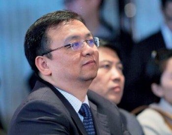 王传福一个月卸任7家子公司高管 比亚迪：<em>公司经营</em>未变化