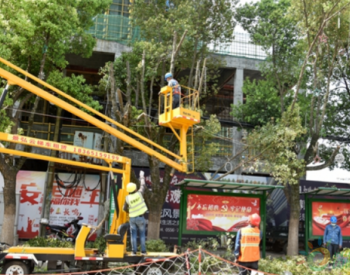 安徽宿松县供电公司：清理树障 打造供电“安全通道”