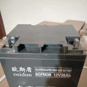 OSIDUN免维护蓄电池，欧斯盾品牌蓄电池12v24AH