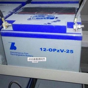 德国森泉蓄电池12-OPZV-40型号齐全