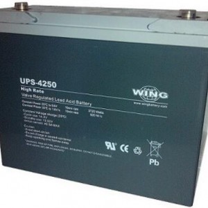 德国WING蓄电池UPS系列 购买认准狮克电源