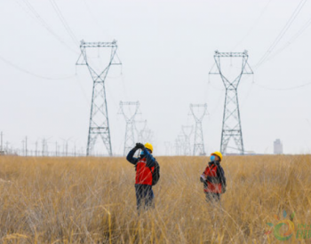 国网新疆乌鲁木齐供电公司：为灰鹤安全回家保驾护航
