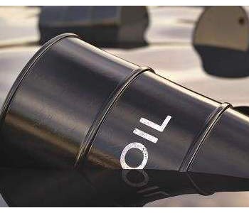 IEA：预计2020年全球石油<em>需求量</em>同比下降930万桶/天