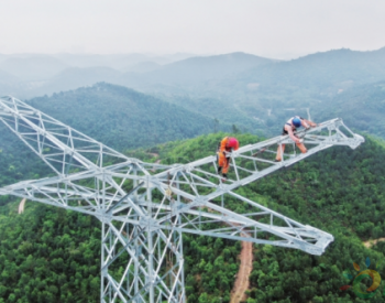 广西电网公司为重大项目建设输入“电动力”