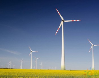 独家翻译 | 2020年第1季度<em>德国可再生能源发电量</em>创历史新高
