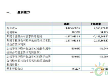 ST<em>汉能碳</em>2019年亏损187.71万元 CCER项目及光伏产品销售量增加