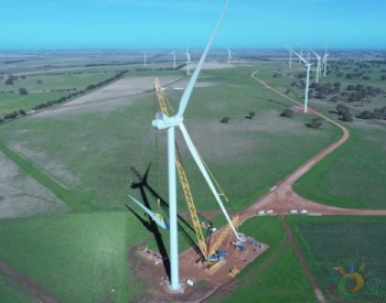 独家翻译 | 336MW！阿尔迪食品公司将购买澳大利亚Tile Renewables风电场产出