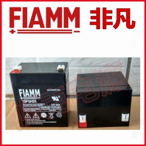 FIAMM非凡蓄电池FG系列