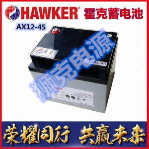 霍克蓄电池AX12-45/12V45AH批发代理价格