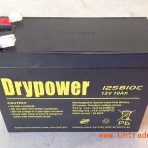 美国DRYPOWER蓄电池12GB100C现货代理商