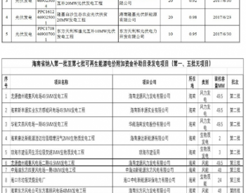 海南电网公示首批可再生能源项目补贴清单 涉及多个<em>垃圾发电</em>项目