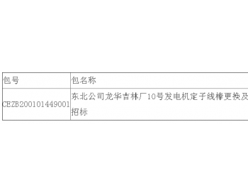 中标 | <em>东北公司</em>龙华吉林热电厂10号发电机定子线棒更换及引出线罩改造公开招标中标结果公告